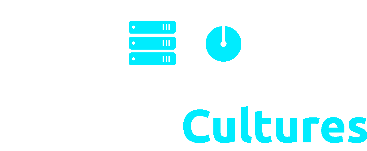 Hosting Cultures - Best Website Development Company in Ahmedabad